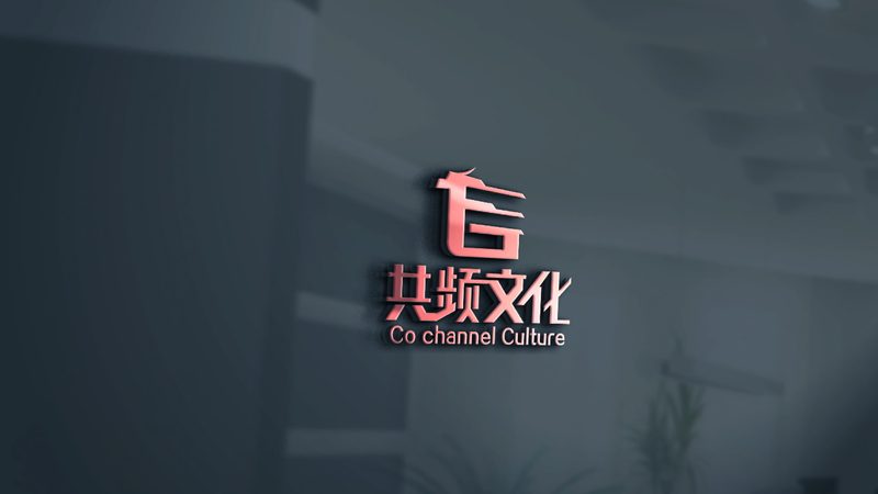 纪录片脚本写作：价格构成与考量因素**